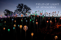 Field of Light at SENSORIO 6-Jan-20